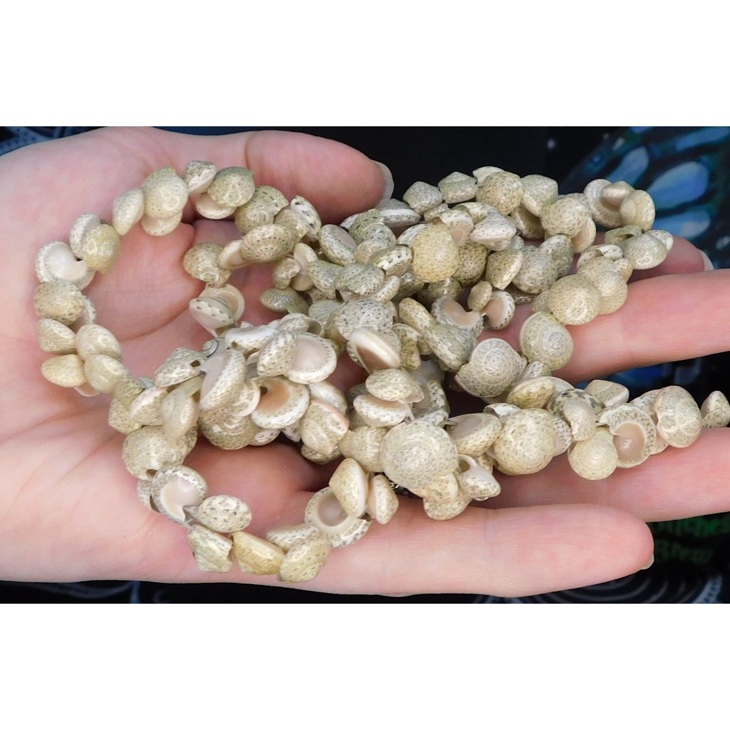 Mermaidcore Ocean Long Tan Shell Beaded Necklace