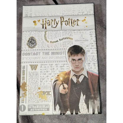 Harry Potter Magical Fine Silver Plated Gold Silver Stud Earrings Set