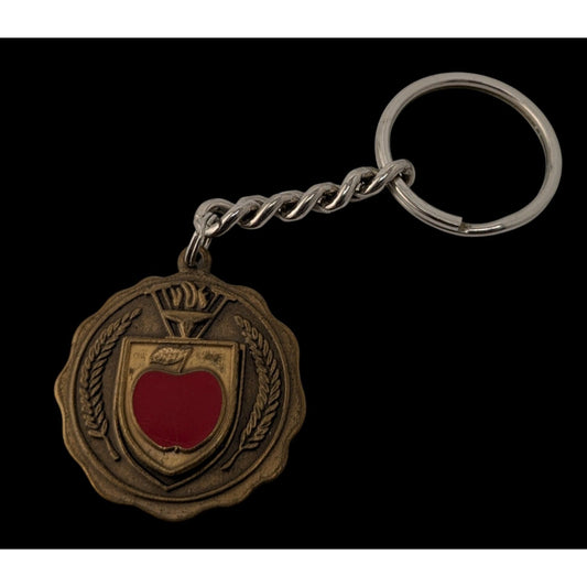 Vintage Wisconsin Community Education Association Keychain With Red Apple Emblem