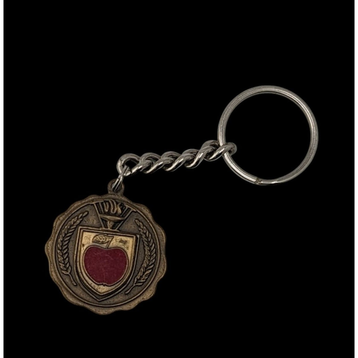 Vintage Wisconsin Community Education Association Keychain With Red Apple Emblem