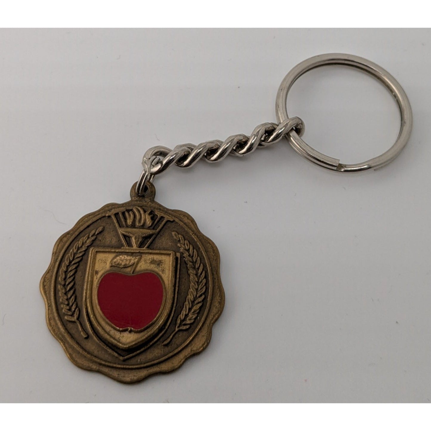 Vintage Wisconsin Community Education Association Keychain With Red Apple Emblem