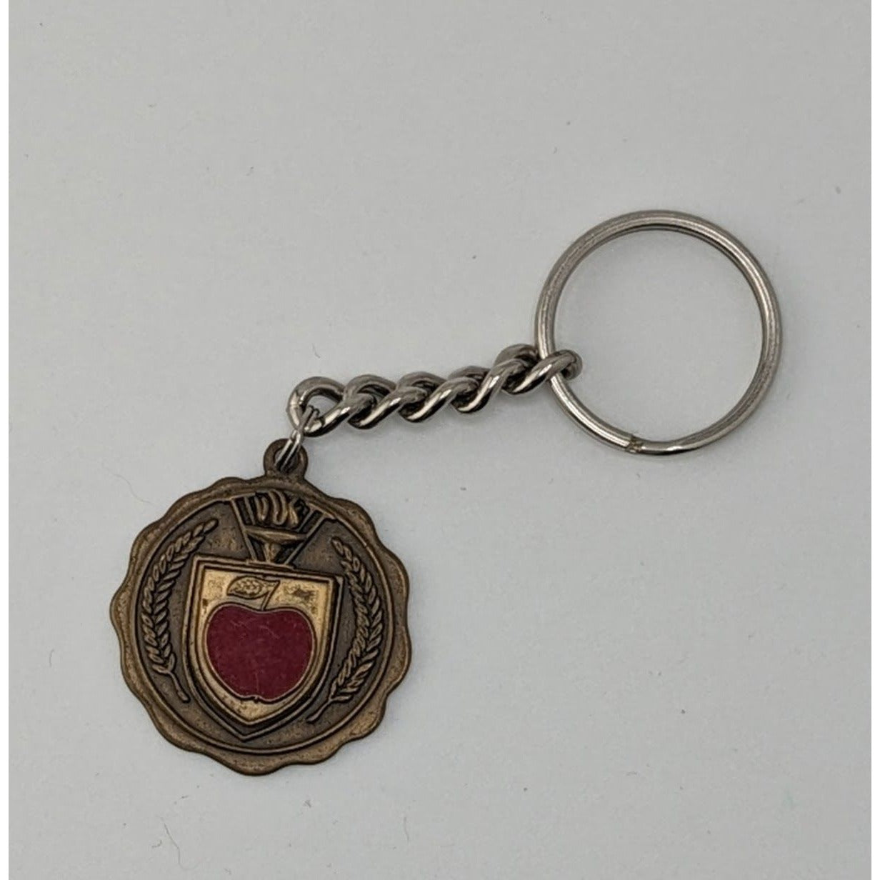 Vintage Wisconsin Community Education Association Keychain With Red Apple Emblem