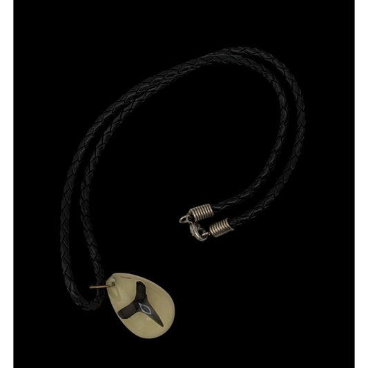 Genuine Shark Tooth In Resin Pendant Necklace With Black Braided Cord