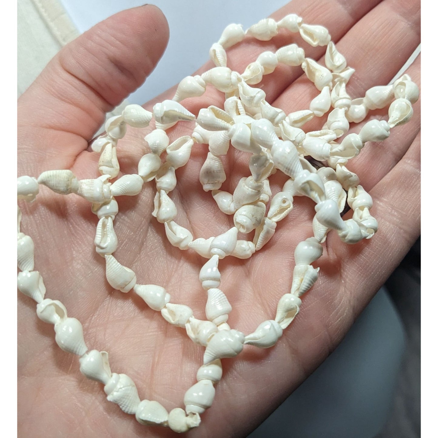 Beachy Mermaidcore Small white Seashell Necklace