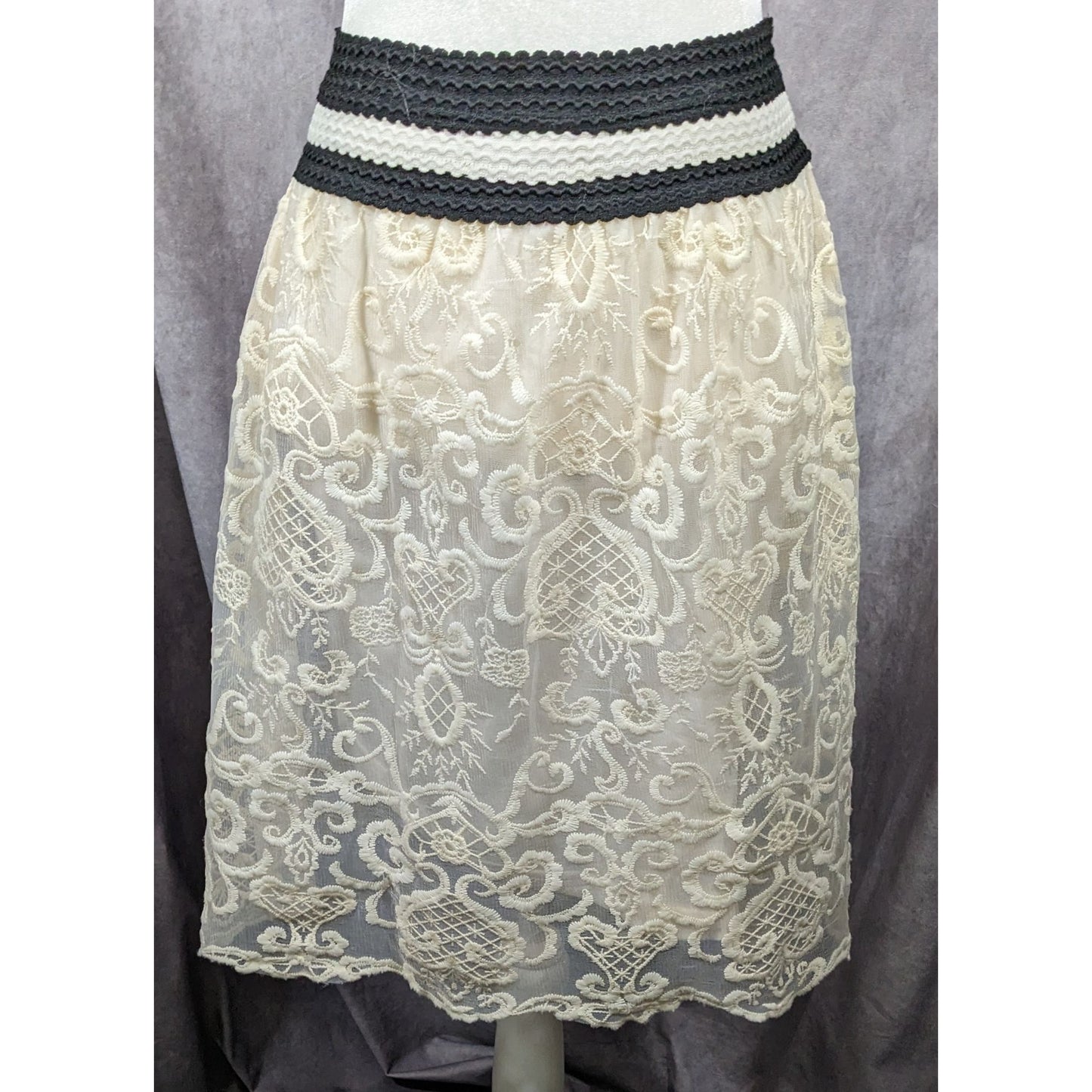 Jealous Tomato Coquette Heart Lace Skirt Size Small