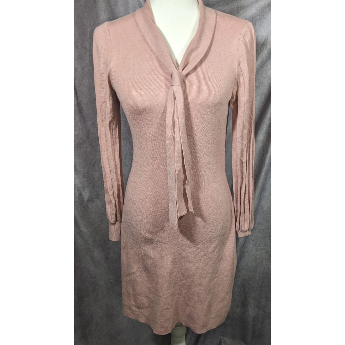 Vintage Coquette Light Pink Long Sleeve Tie V Neck Dress