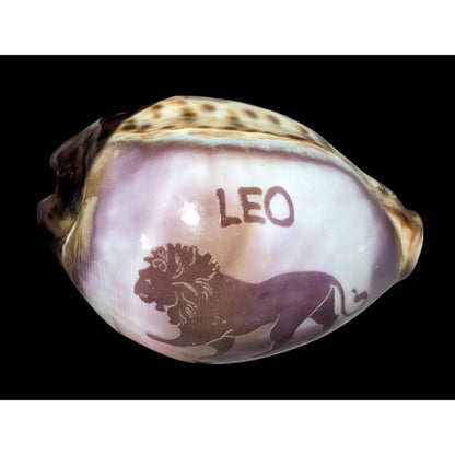 Vintage Leo Zodiac Astrological Carved Cowrie Shell