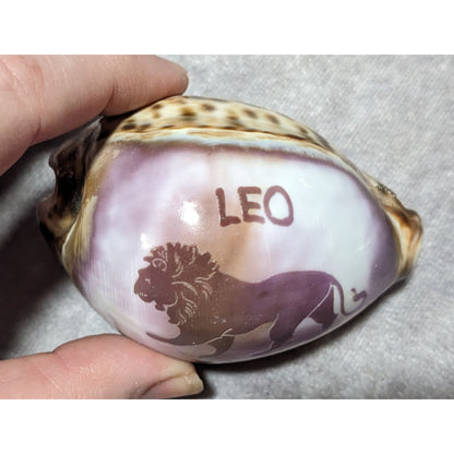 Vintage Leo Zodiac Astrological Carved Cowrie Shell